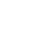 Aurus wit