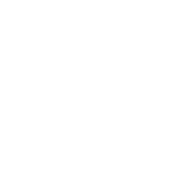 Chronicle wit